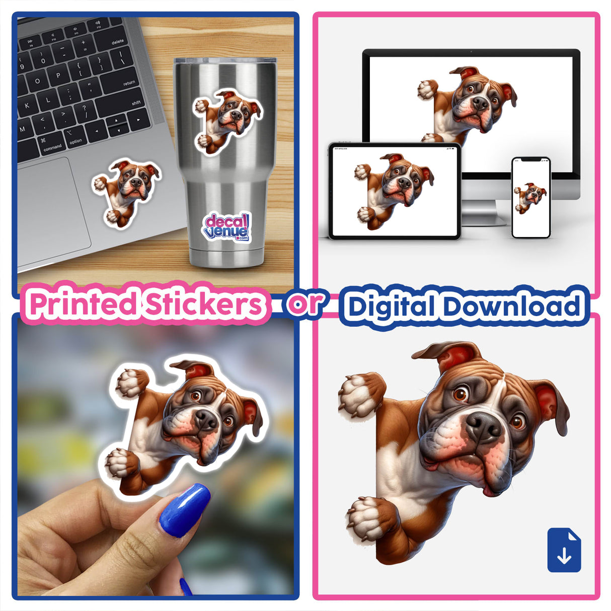 Curious peeking boxer dog digital artwork on various devices and printed stickers from Decal Venue, an online store offering unique stickers and digital art created by talented designers.