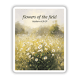 Flowers of the Field Sticker or Clipart with Commercial Rights - Matthew 6:28-29. Illustrated field of flowers, offering options as stickers or digital artwork. Perfect for nature-themed projects or decor.