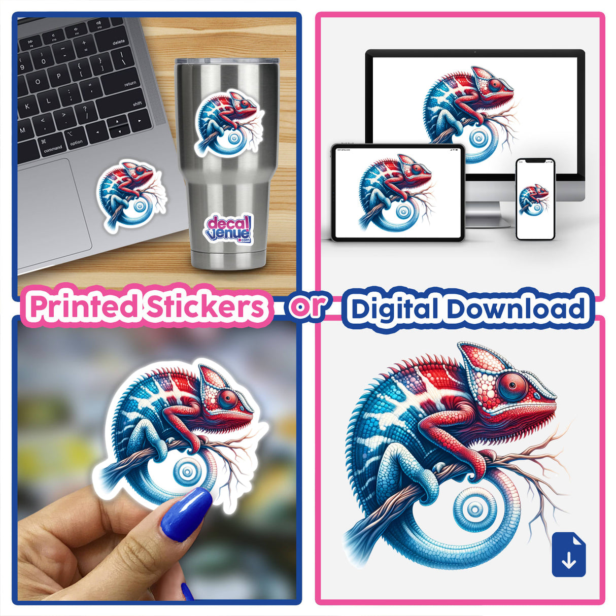 Chameleon on Branch Red White and Blue