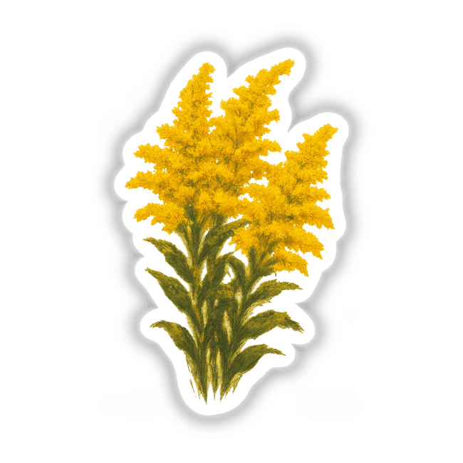 Kentucky Nebraska State Flower Sticker or Clipart featuring a detailed Goldenrod Blossom Art, available as stickers or digital artwork with commercial rights, reflecting Decal Venue's unique vinyl sticker and digital art offerings.