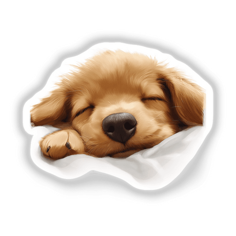 Puppy Dog Paw-sitively Exhausted: A close-up of a sleeping golden retriever puppy on a blanket, available as stickers or digital artwork from Decal Venue.