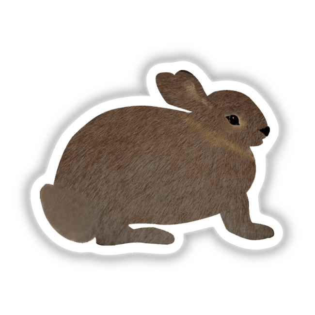 Brown bunny rabbit illustration with a white border, available as a unique sticker or digital artwork from Decal Venue, capturing the playful essence of a cartoon-style domestic rabbit's face.