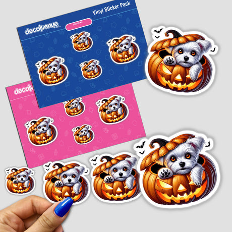 Adorable Maltese dog peeking out from pumpkin-shaped Halloween stickers, displayed on colorful Decal Venue packaging.