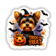 Halloween Trick Or Treat Yorkie Dog sticker or digital artwork featuring a cute dog in a hat, holding a pumpkin basket, surrounded by Halloween-themed elements like bats and cartoon pumpkins.