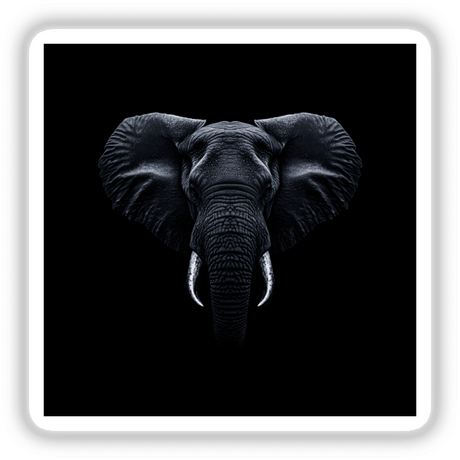 Cinematic Elephant Portrait on Black Background showcasing a detailed close-up of an elephant with prominent tusks and large ears. Available as stickers or digital artwork at Decal Venue.