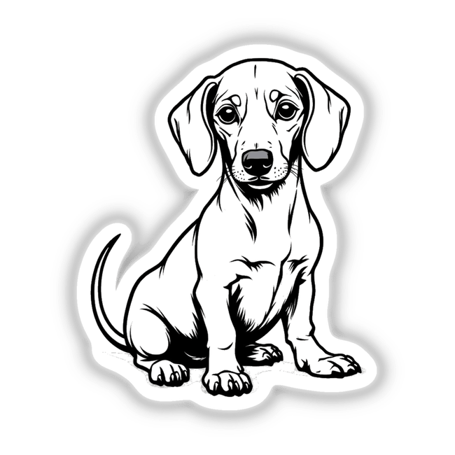 Adorable Dachshund Clipart Outline | Stickers or Commercial Use Download: Black and white drawing of a dachshund, perfect for stickers or digital artwork.