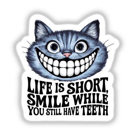 Cat - Life is Short. Smile While You Still Have Teeth