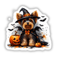 Halloween Yorkie Dog in Dracula Costume featuring a dog dressed in a hat and cape, surrounded by pumpkins and bats, available as stickers or digital artwork from Decal Venue.
