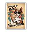 Cute Boston Terrier Bubble Tea Retro Sunset Cartoon: A poster featuring a cartoon Boston Terrier holding bubble tea, wearing sunglasses and a bandana. Available as stickers or digital artwork.