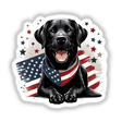 Patriotic Black Labrador Retriever Dog With American Flag Bandana