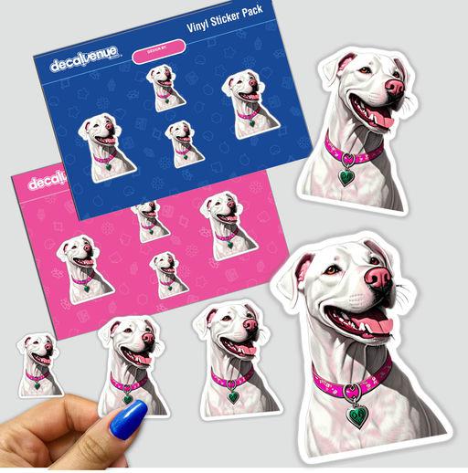 White Smiling Pitbull