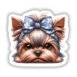 Cute Yorkshire Terrier dog with big brown eyes wearing a blue bow hair accessory against a white background.