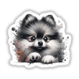 Peeking Sable Wolf Pomeranian, a fluffy white dog with a splash of paint effect, available as vibrant stickers or digital artwork, showcasing its expressive nose and eye in detail.