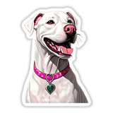 White Smiling Pitbull