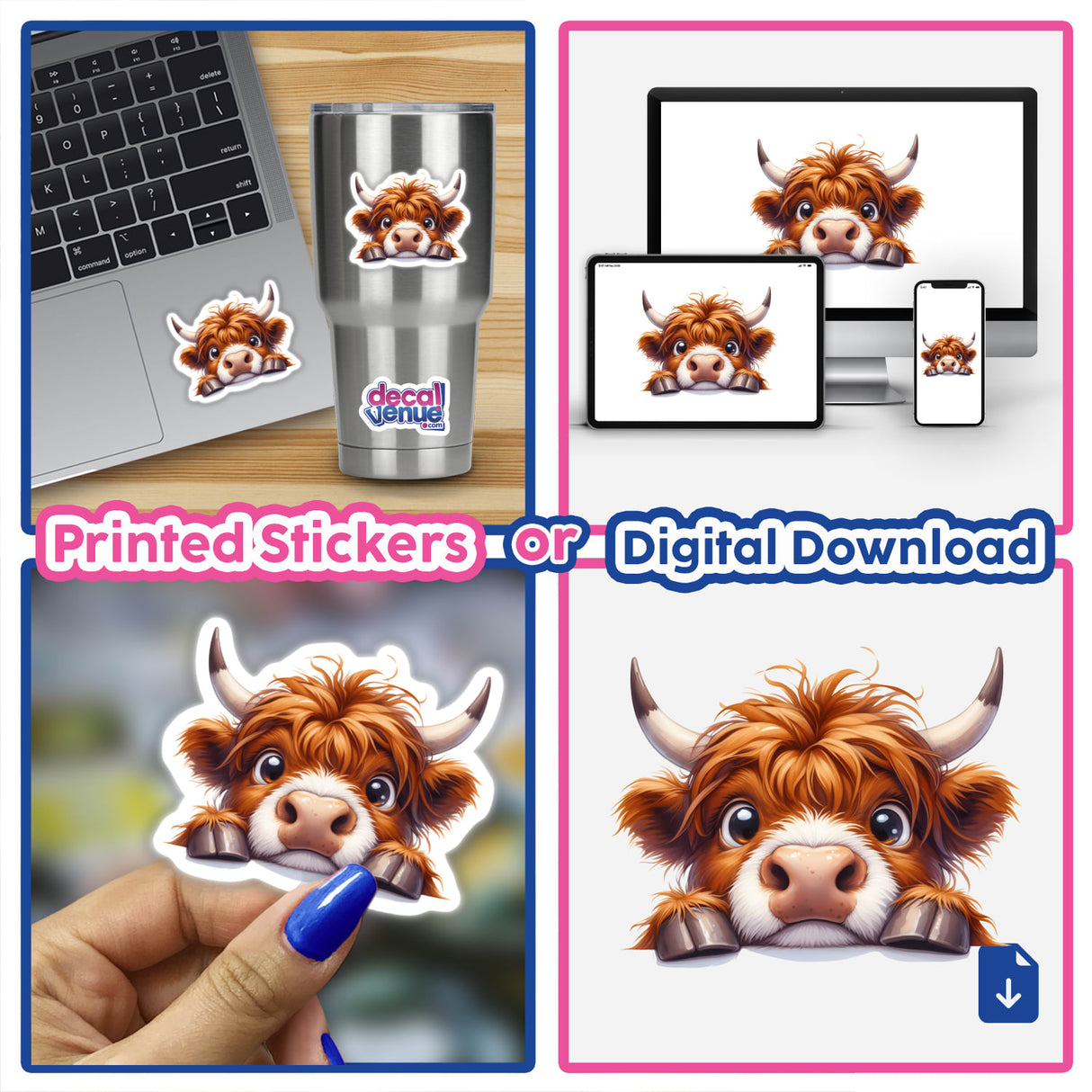 Peeking Highland Cow