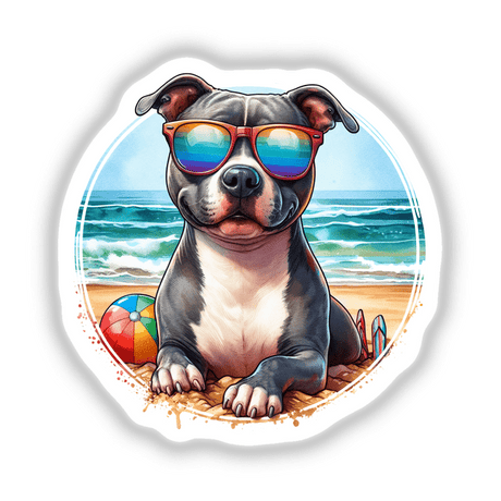 Pitbull Dog at the Beach
