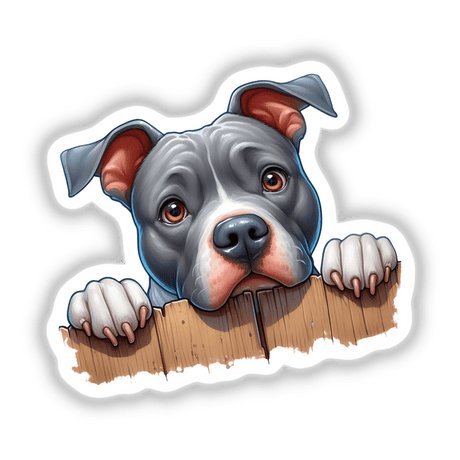 Peeking Over Fence Pitbull Dog
