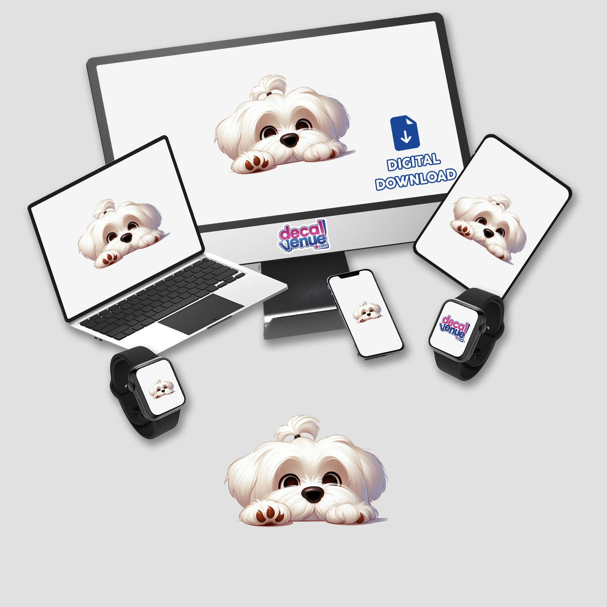 Cute Resting Maltese Dog