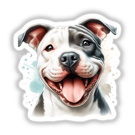 Happy Eye Patch Pitbull Dog
