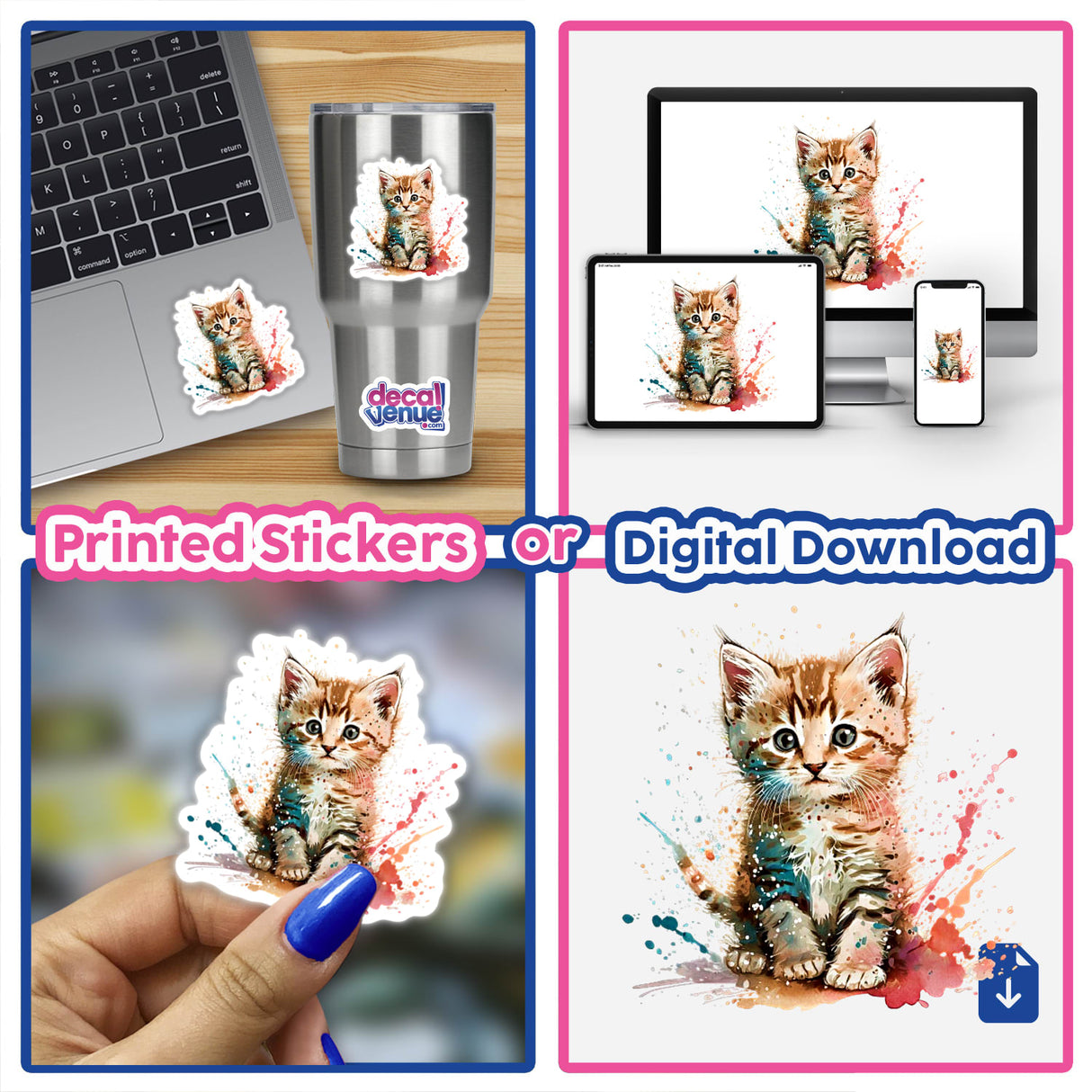 Splashing kitten