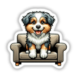 Adorable Australian Shepherd puppy sitting on a cozy sofa, with a cheerful expression and fluffy, multicolored fur.