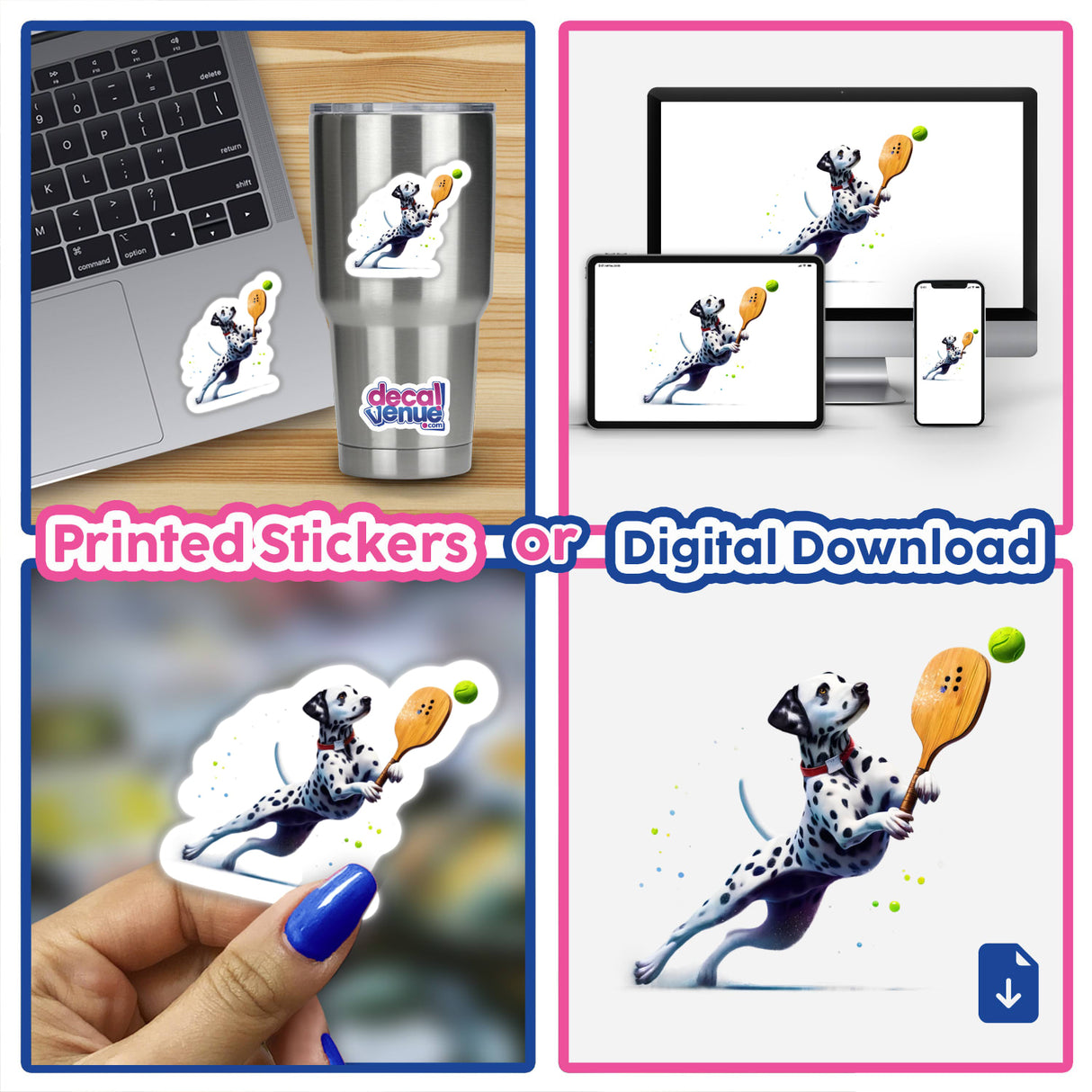 Dalmatian Dog Playing Pickleball