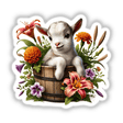 Baby Goat Peeking Out of Flower Pot