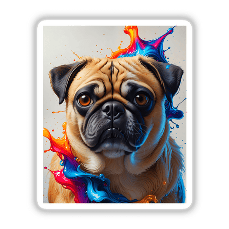 Cute pug portrait with colorful paint splashes, highlighting the dog's expressive nose and eye. Available as stickers or digital artwork from Decal Venue.