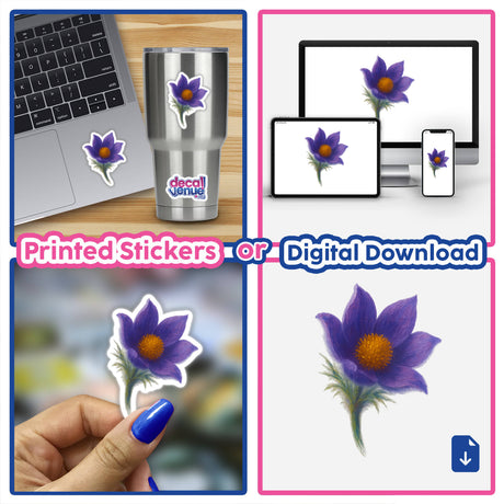 South Dakota State Flower Sticker or Clipart featuring a detailed Pasque Flower design, available as vinyl stickers or digital artwork, embodying Decal Venue's unique art and commercial rights offering.
