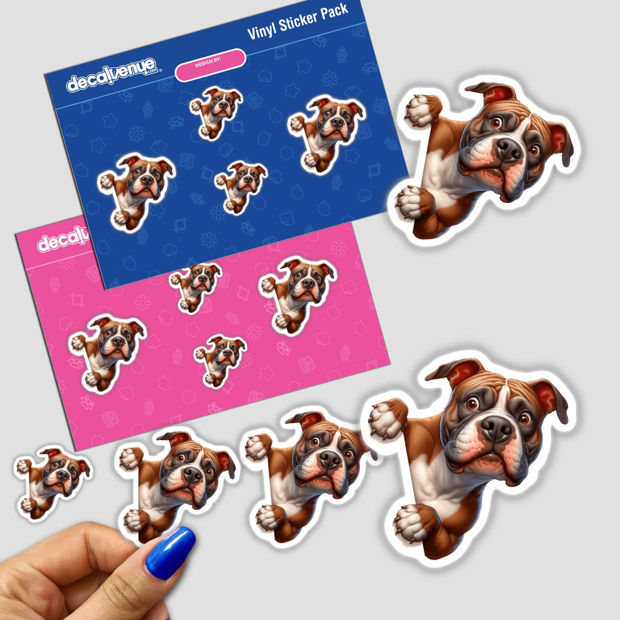 Cute, curious boxer dog digital artwork stickers displayed on a Decal Venue vinyl sticker pack.