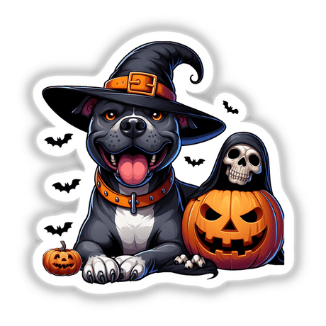 Playful Pitbull in Halloween Attire: Black dog wearing witch's hat, skull ghost, and pumpkin prop on white background.