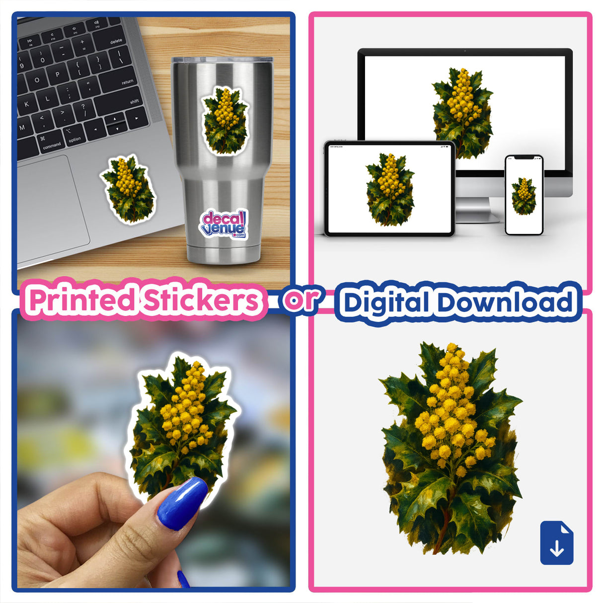 Oregon State Flower Sticker or Clipart featuring the detailed Oregon Grape Blossom Art, available as stickers or digital artwork, showcasing intricate floral design, ideal for commercial use.