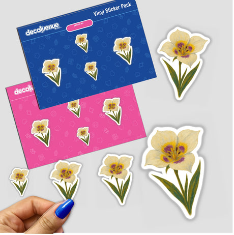 Utah State Flower Sticker or Clipart with Commercial Rights - Sego Lily Design, showcasing a detailed Sego Lily illustration, ideal for stickers or digital artwork from Decal Venue.