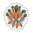 Carrots