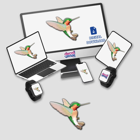Hummingbird illustration on a computer monitor and laptop screen, available as stickers or digital artwork from Decal Venue.