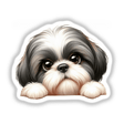 Cute Peeking Face Shih Tzu Dog