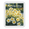 Primrose Rejoicing Comes Sticker or Clipart, showcasing a close-up of white flowers, embodying Psalm 30:5. Available as unique vinyl stickers or digital artwork for commercial use.
