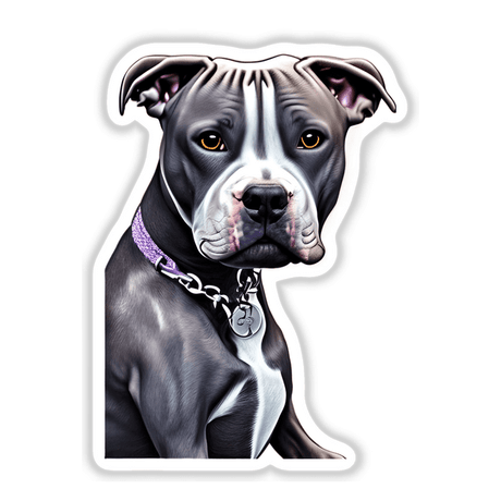 Gray Pitbull Portrait Style