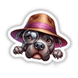 Sherlock Pitbull Dog