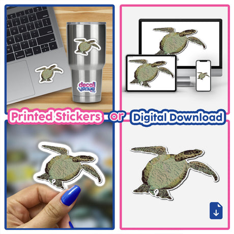 Sea turtle stickers displayed on a laptop and a cup, available as unique vinyl decals or digital downloads from Decal Venue, highlighting detailed turtle illustrations for versatile use.