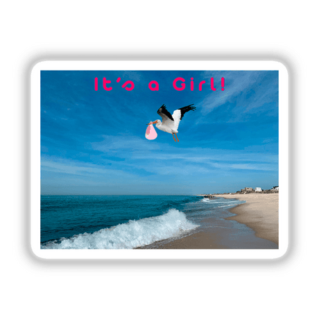 Bird carrying a pink letter over a beach, part of the It's a Girl Birth Announcement and Gender Reveal sticker and digital artwork collection from Decal Venue.