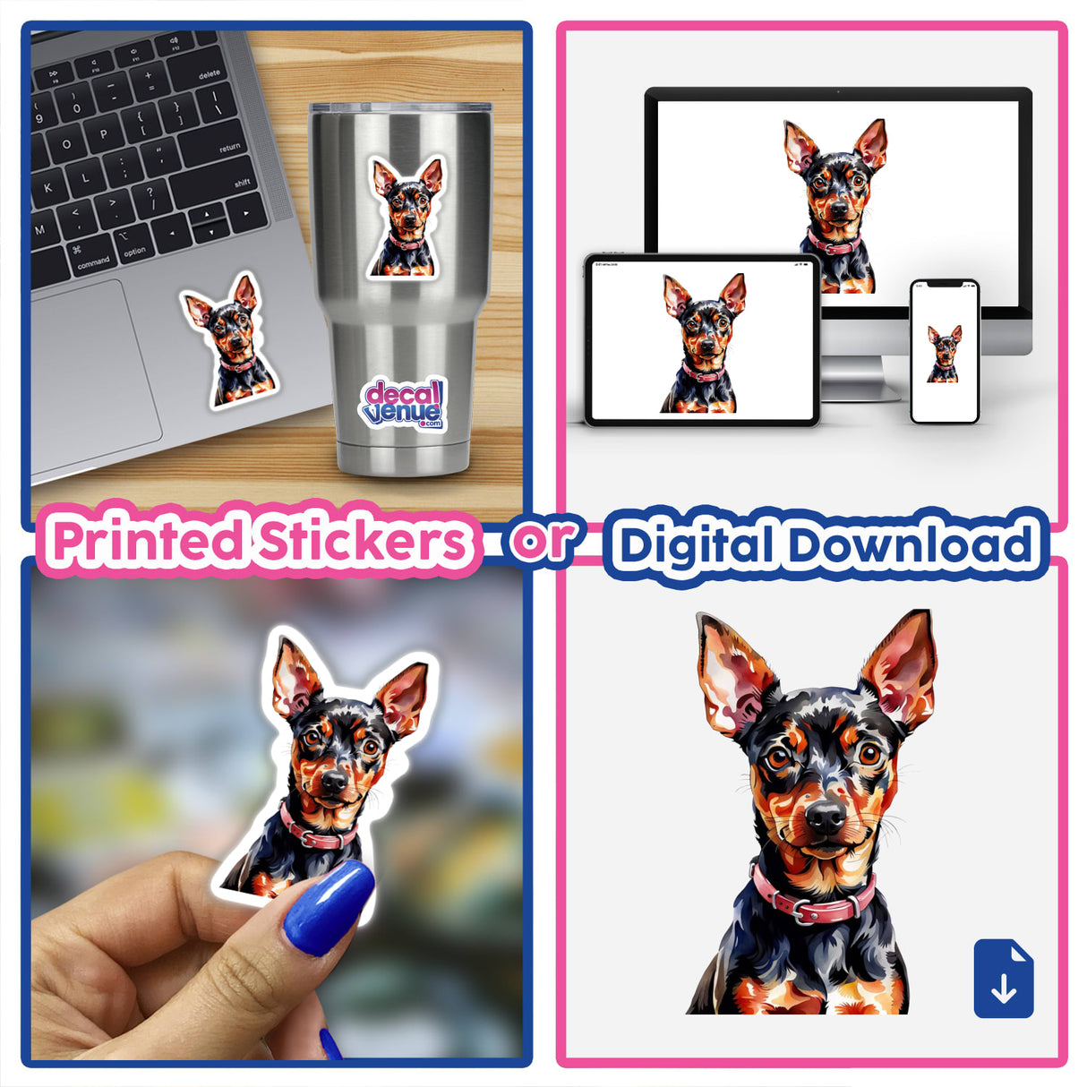 Miniature Pinscher Dog Watercolor Clipart & Stickers – Collage featuring a laptop with a dog sticker and close-up views of the dog artwork.