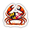 Maryland Steamed Baseball Crab illustration features a stylized orange crab with Maryland flag patterns, holding a baseball. Available as stickers or digital artwork from Decal Venue.