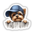 Boy Yorkie Dog Peeking Over Fence