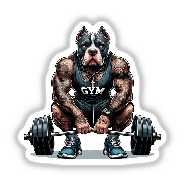 Muscular Bully Pitbull Dog Lifting Barbell