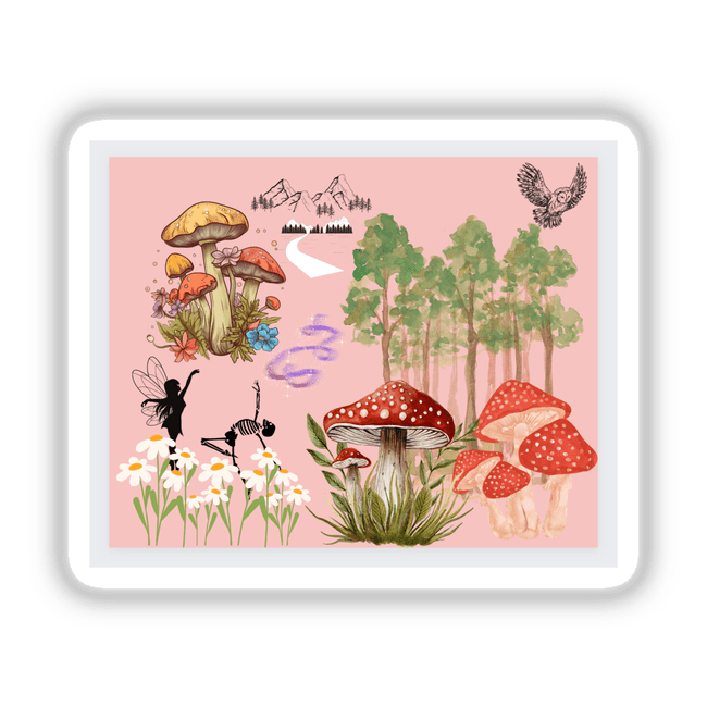 Whimsy