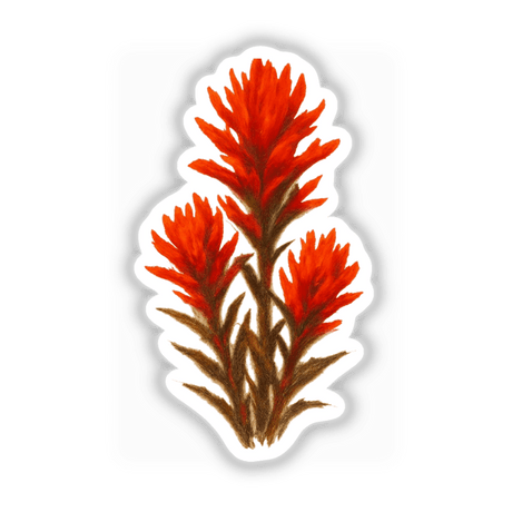 Wyoming State Flower Sticker or Clipart with Commercial Rights, featuring an intricate Indian Paintbrush design, available as both stickers and digital artwork, highlighting Decal Venue's unique vinyl art offerings.