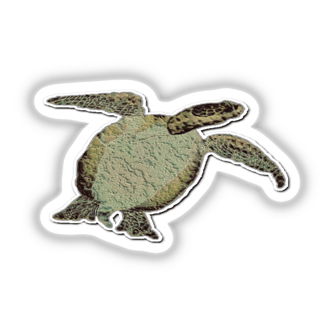 Sea turtle sticker featuring a detailed illustration with a white border, available as a unique vinyl sticker or digital artwork from Decal Venue.