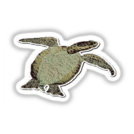 Sea turtle sticker featuring a detailed illustration with a white border, available as a unique vinyl sticker or digital artwork from Decal Venue.