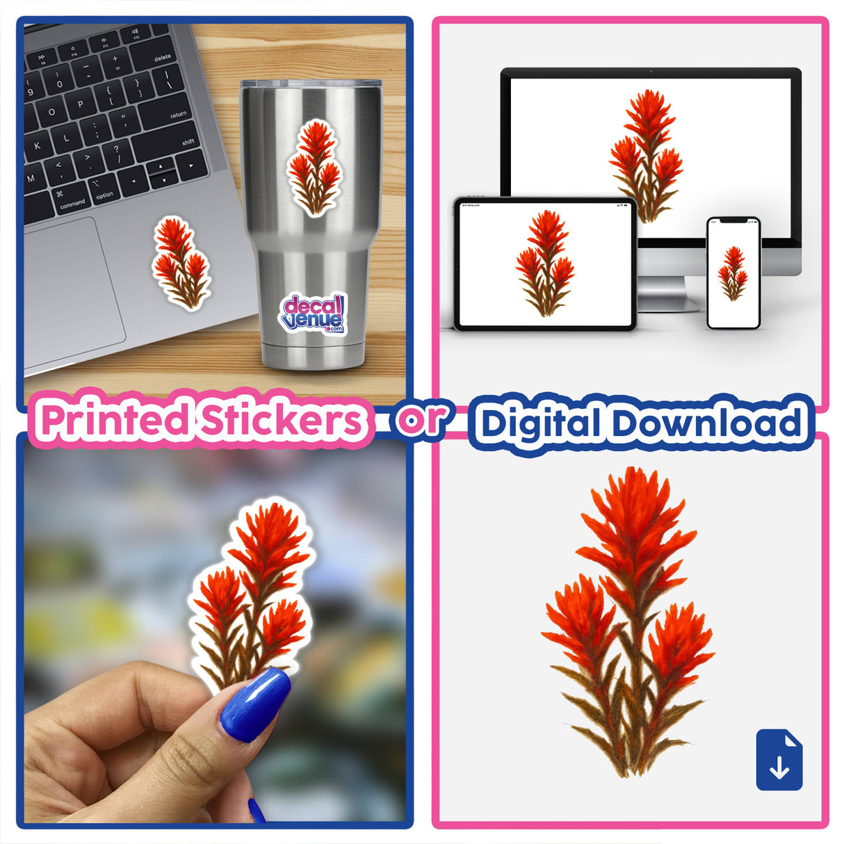 Wyoming State Flower Sticker or Clipart featuring an intricate Indian Paintbrush design, available with commercial rights. Ideal for use as stickers or digital artwork from Decal Venue.